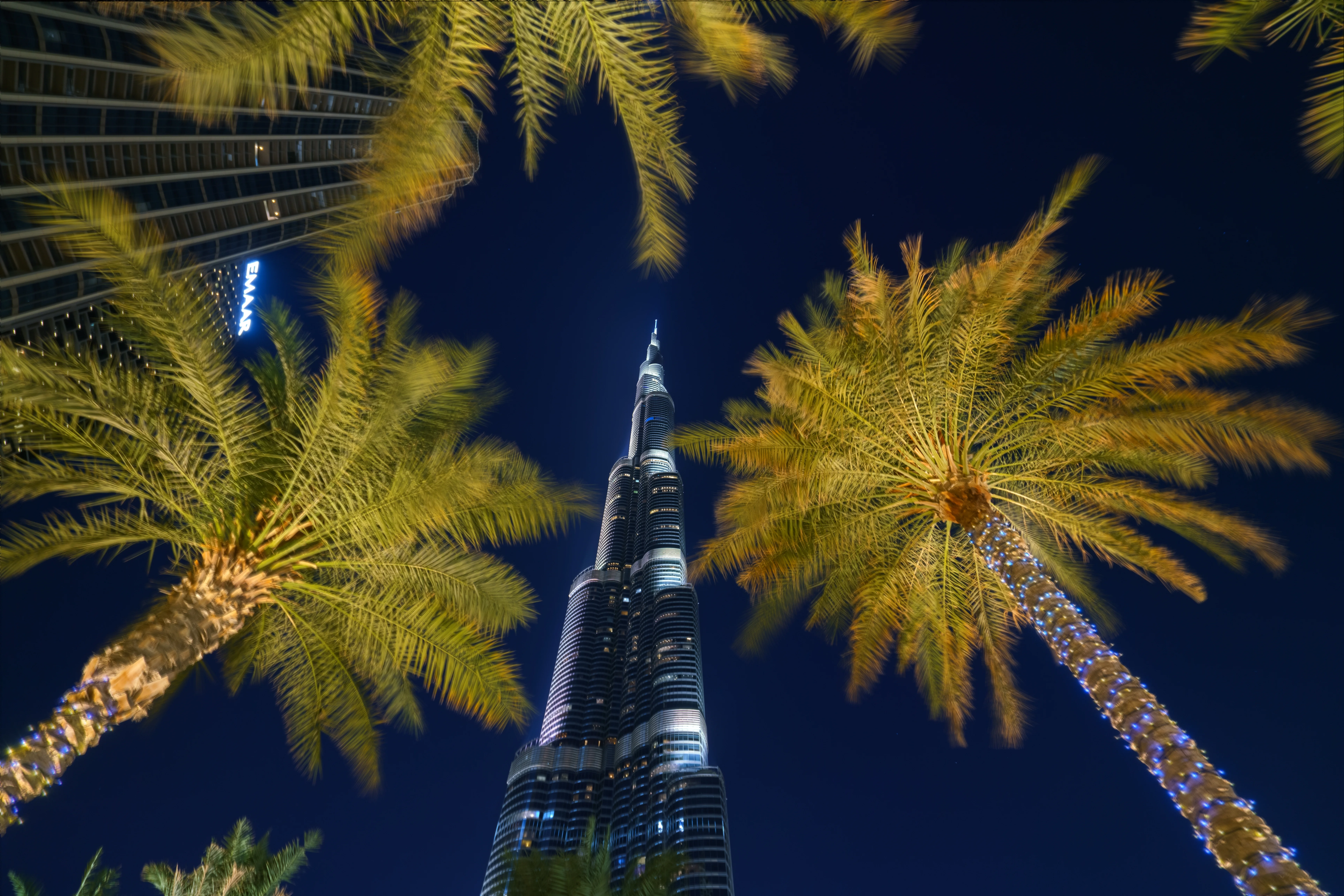 Dubai Burj Khalifa night view with palm trees — premium investment opportunity